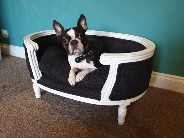 French Dog Bed